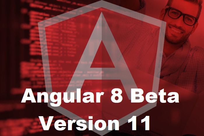 Angular 8 Beta 11