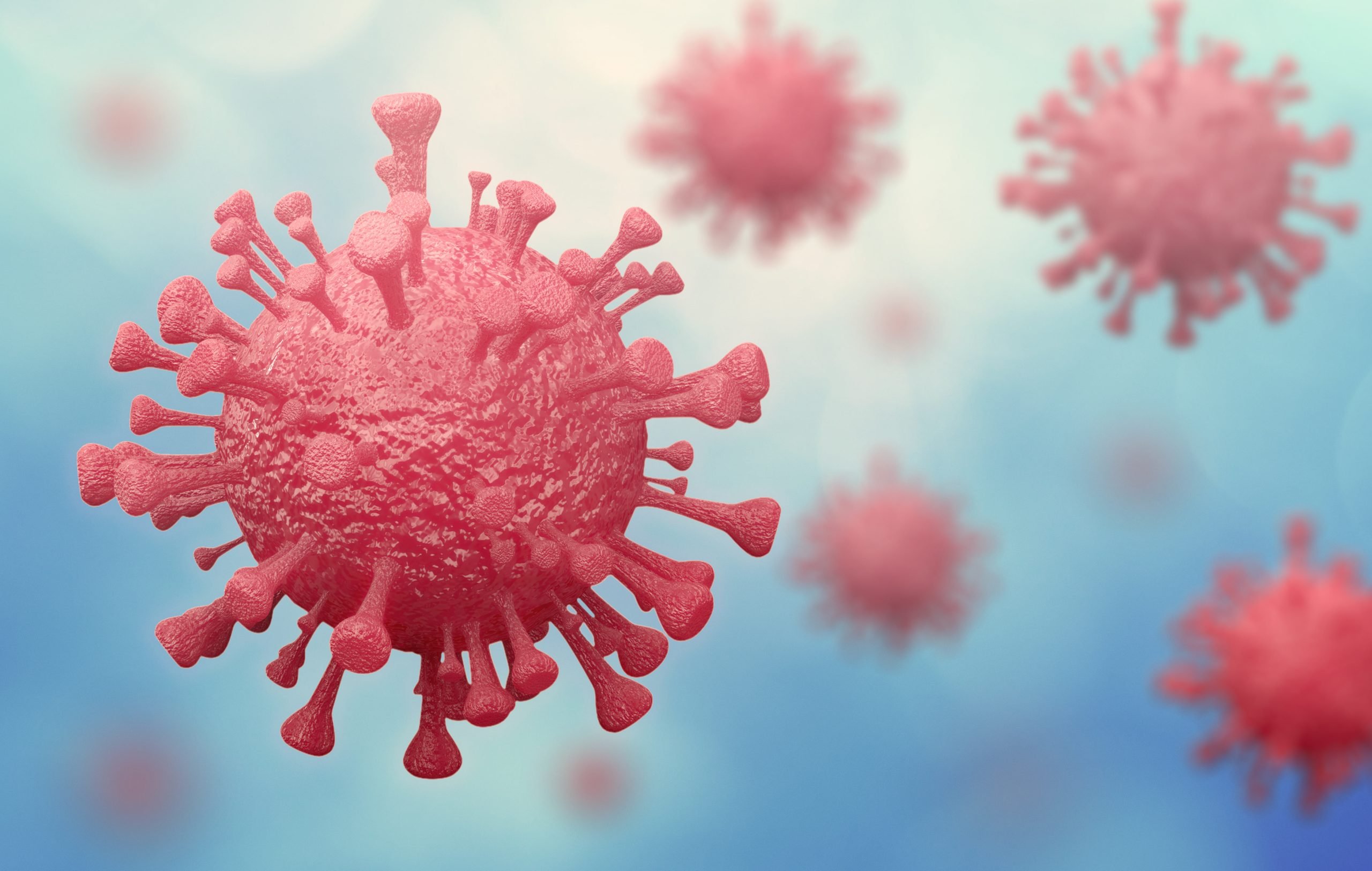 coronavirus web app image