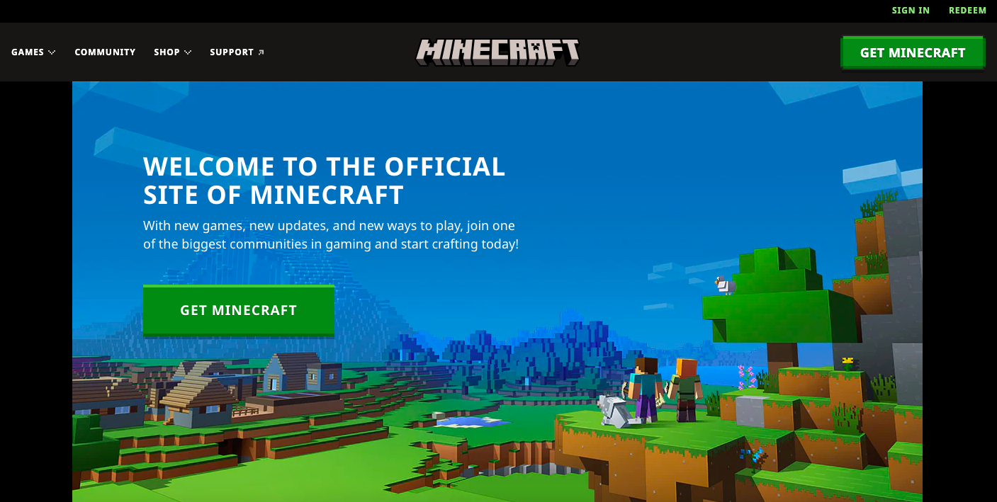 APM: Image of Minecraft