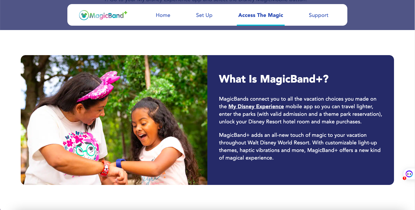 Customer Experience Automation - Disney magic band example