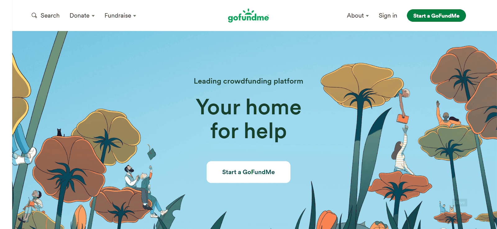 CYA: Image of GoFundMe site