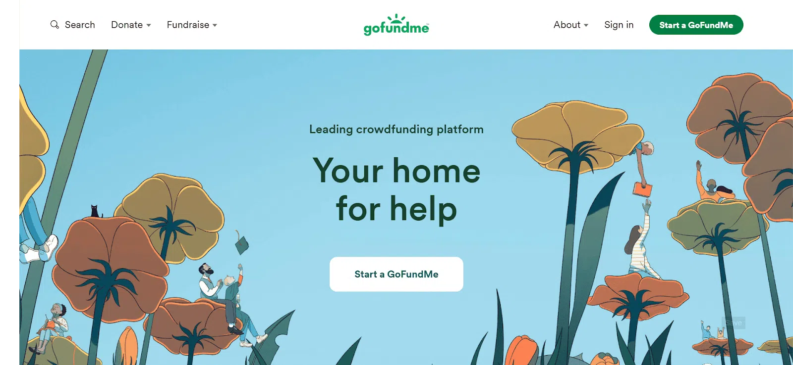 CYA: Image of GoFundMe site
